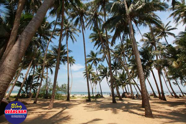 Ảnh: photosvietnam